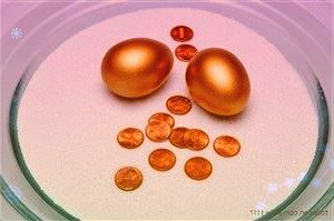 2021物博会首增交易元素线上线下交易额4.8亿元