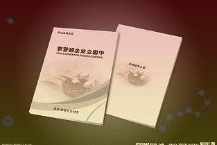 17年历练终站C位，娃哈哈步入“宗馥莉时代”