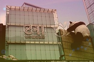 李锦财:黄金价格走势分析黄金原油操作指南