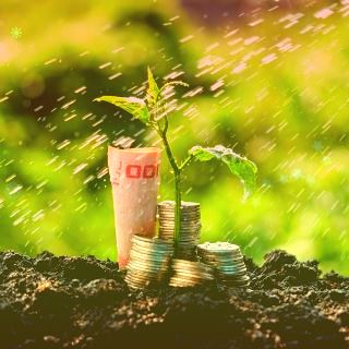 马斯克：纯视觉自动驾驶方案比雷达+视觉更好，后者有太多不确定性