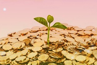 科技部、浙江省印发《推动高质量发展建设共同富裕示范区科技创新行动方案》