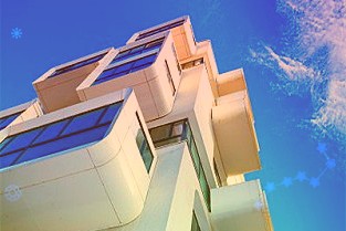 虎年“谐音梗”盒马创意年货“糖虎芦”春节假期销量环比大涨100%
