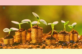 玉马遮阳：公司产品在户外遮阳方面已得到广泛应用