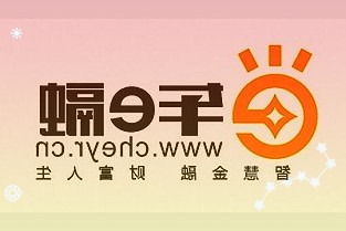 雷克沙发布新款UHS-IISD卡：最高270MB/s，可选256GB